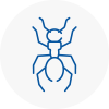 Ant Removals In Somerset
