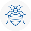 Bed Bug Extermination In Somerset