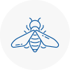 Bee Nest Removal Somerset
