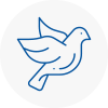 Bird Prevention Somerset