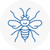 Somerset Hornet Nest Removals