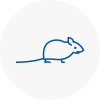 Mice Exterminators In Somerset