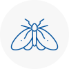 Moth Control Specialists In Somerset