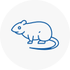 Rat Control Somerset