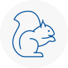 Somerset Rodent Removals